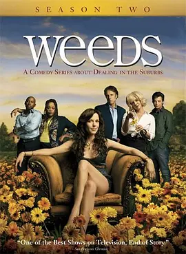 单身毒妈 第二季 Weeds Season 2