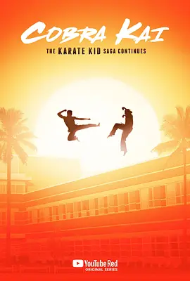 眼镜蛇 第一季 Cobra Kai Season 1